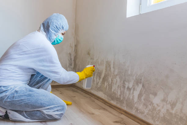 Licensed Commercial Mold Remediation service in Southlake, TX - WQB Mold Removal