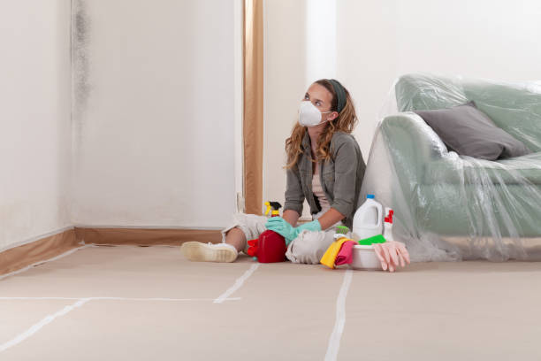 Reliable Commercial Mold Remediation contractor in Southlake, TX by WQB Mold Removal